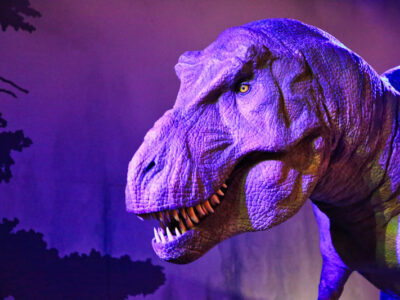 Natural History Museum London